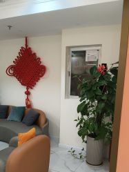 -金都微美·精准护肤·疗愈SPA