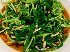 -新白鹿餐厅(龙游路总店·杭帮菜名店)