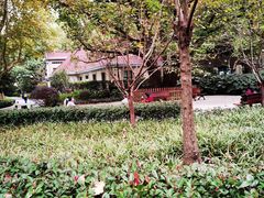 -徐家汇源景区-衡山公园