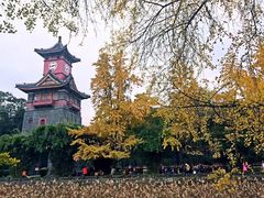 -四川大学(华西校区)