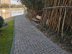 -南翔镇银翔湖公园