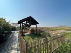 -同里国家湿地公园