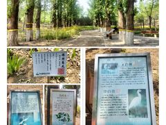 -翠湖国家城市湿地公园
