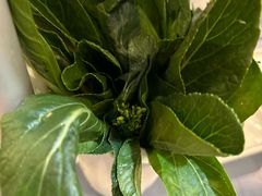 -喜聚薈·花膠雞海鮮火鍋(越秀店)