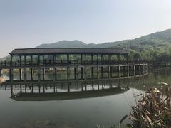 -石塘人家