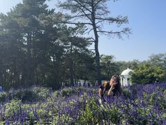 -沈阳植物园
