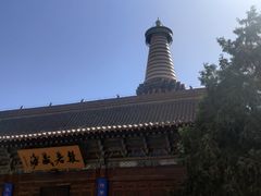 -张掖大佛寺景区