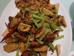 -陈家老院子(高新店)