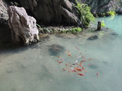 -百魔洞景区