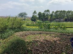-光明小镇欢乐田园
