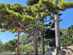 -妙峰山风景名胜区