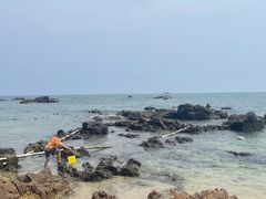 -西涌国际滨海旅游区