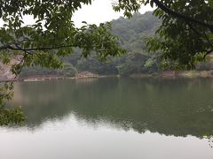 -广州市石门国家森林公园