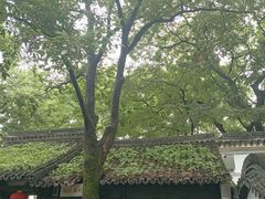 -绮园景区
