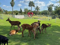 -东南花都花博园