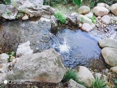 -活水公园