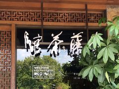 -青藤茶馆(南山路店)