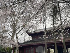-堤角公园