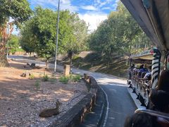 -清迈夜间动物园