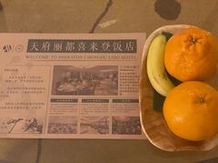 -成都天府丽都喜来登饭店