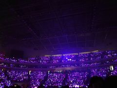 -南京奥林匹克体育中心-体育馆