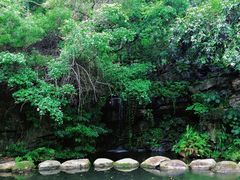 -燕晗山郊野公园