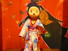 -济州岛泰迪熊博物馆