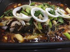 -渔鱼酷私房烤鱼(定兴店)