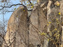 -北京鹫峰国家森林公园