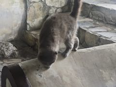 -黄牛肉馆·皖南土菜