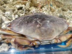 -盒马鲜生(曜一城店)