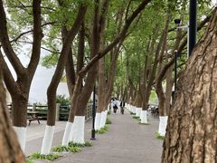 -白马涧龙池景区