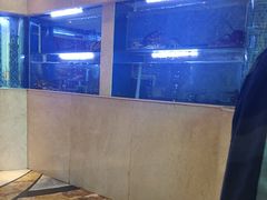 -红顶食府(滨湖九号店)