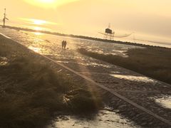 -翠亭酒家(山西南路店)