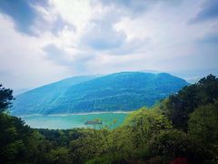 -铁山坪森林公园