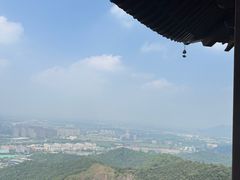 -杭州半山国家森林公园