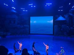 -芜湖新华联大白鲸海洋公园