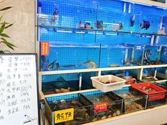 -将军烧鹅海鲜酒楼