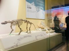 -国家自然博物馆