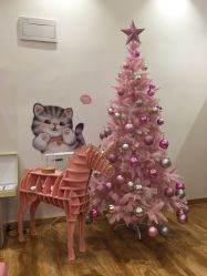 -Lab Season惜辰颜究社