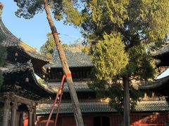 -报恩寺(平武县)