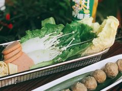 -沙胆彪炭炉牛杂煲(成都玉林店)