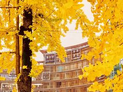 -两江幸福广场