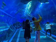 -成都浩海立方海洋公园