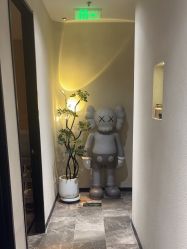 -玛莲朵·海菲秀冰珀科