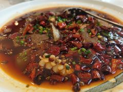 毛血旺-川香楼酒家