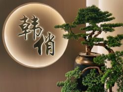 -HQ半永久纹绣纹眉