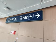 -青岛胶东国际机场