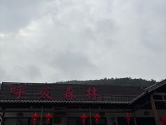 -呼吸森林·生态农庄农家乐私房菜