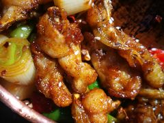 -蛙麻蛙辣炭火蛙锅(南环大街店)